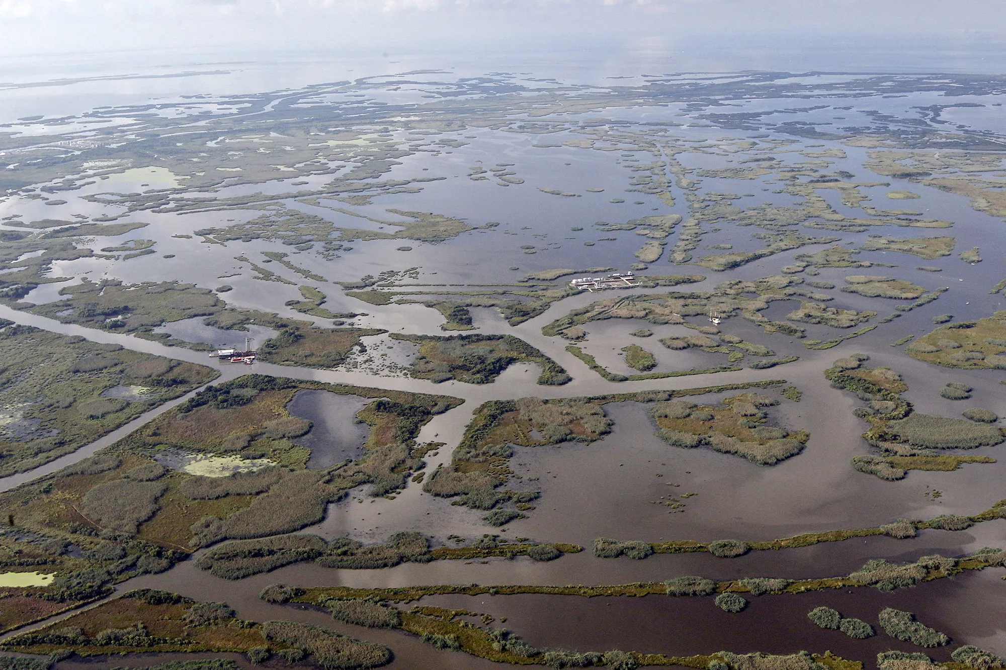 Louisiana wetlands 