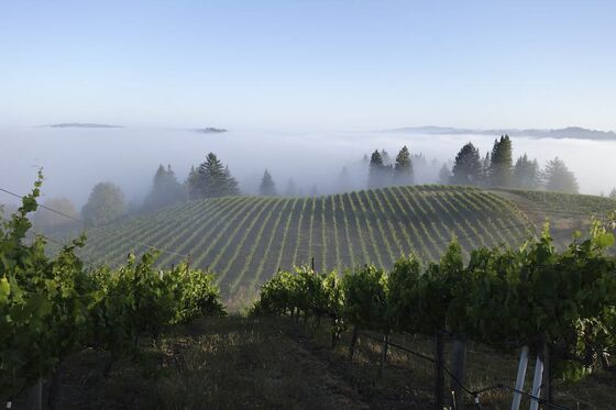 California’s Edgiest, Riskiest Wine Region Is About to Get a New Name