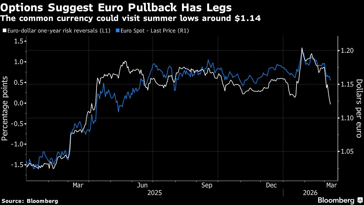 Euro Options Turn Most Bearish Since 2022 on Fear of Long War