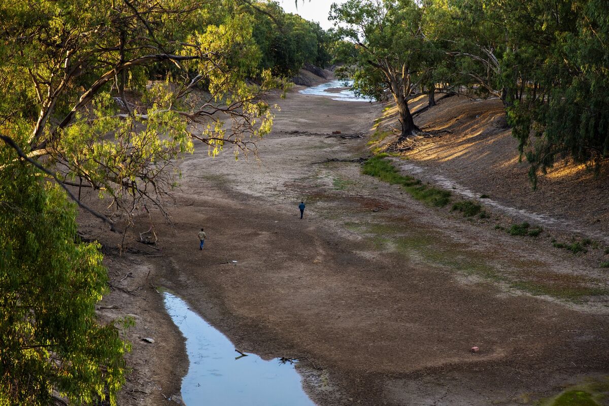 Drought Dominates Outlook for Australia’s Farms, Not the Virus
