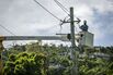 After Maria, Investors Get Blank Slate To Rebuild And Profit From Island's Rickety Power System