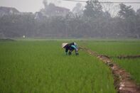 VIETNAM-CHINA-HEALTH-VIRUS