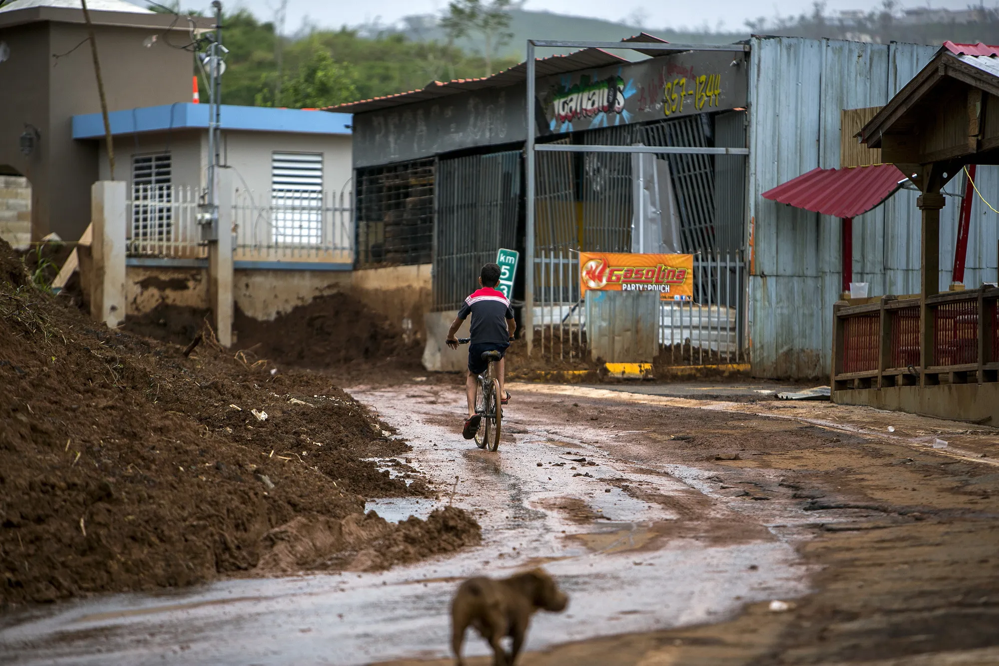 A resident rides a bicycle in front of stores damaged from Hurricane Maria on a muddy road in Barranquitas, Puerto Rico, on Oct. 18.
