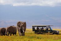 relates to The Wrong Way to Go On Safari, According to a Wildlife Photographer