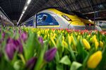 Tulips stand on display near a Eurostar International Ltd. passenger train during the inauguration of the London to Amsterdam.