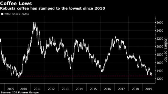 Coffee Has a Dire Week as Glut Sends Robusta to Nine-Year Low