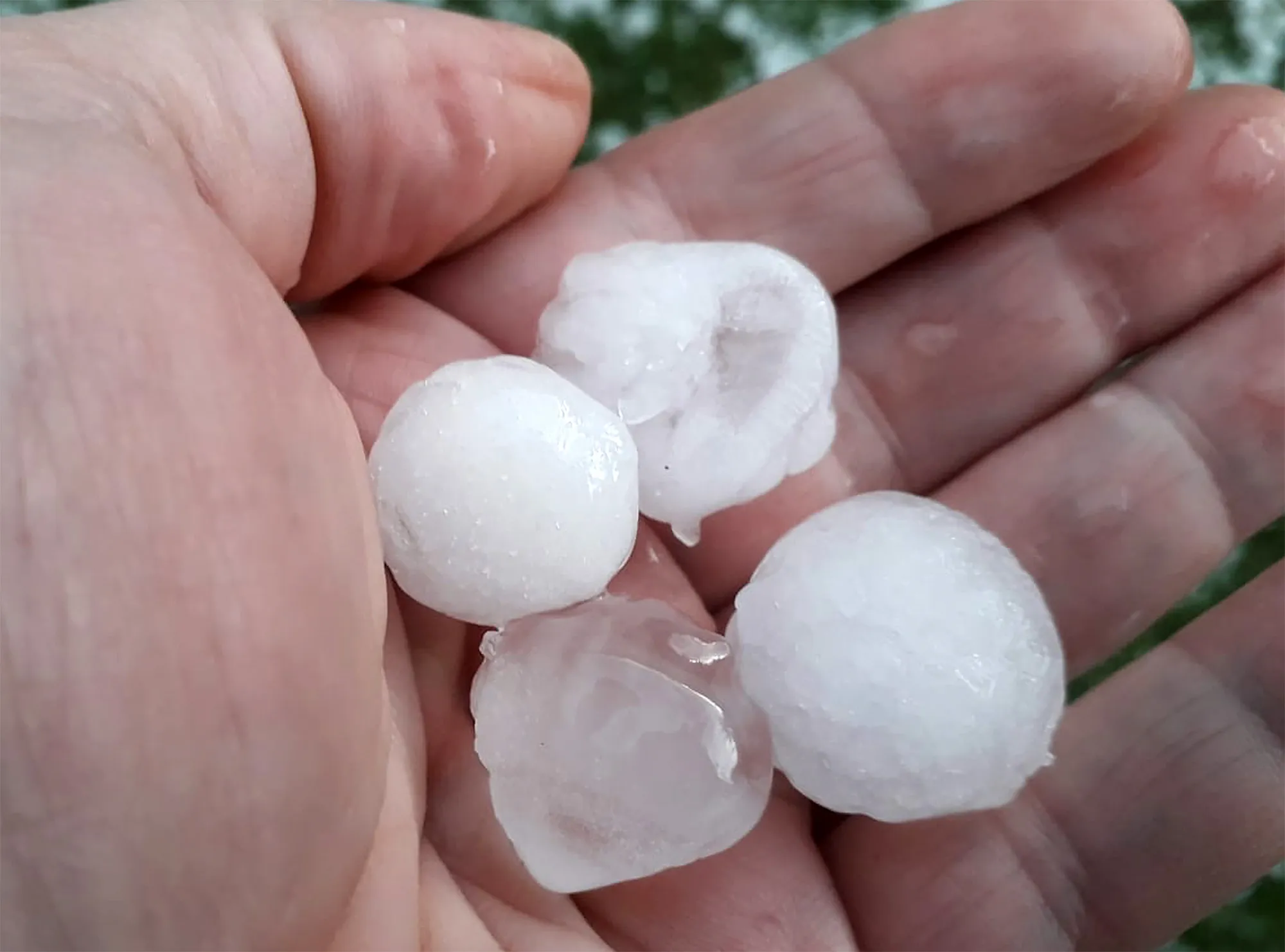 Hail from the storm in&nbsp;Saint-Emilion, on April 17.