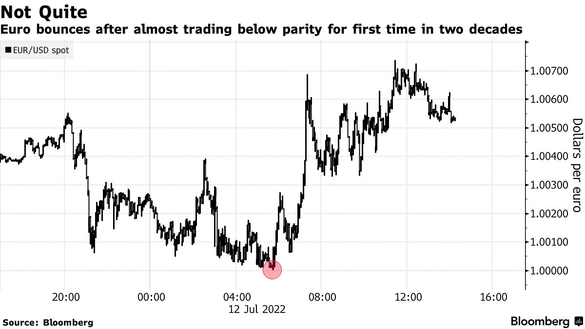 What does it mean that the euro has fallen below parity with the