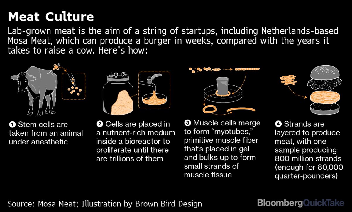 Labgrown Meat Price In India