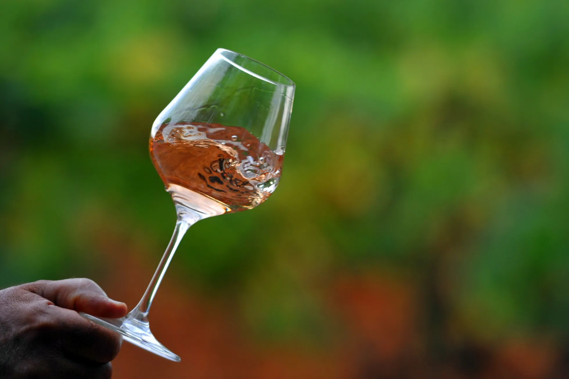South Africa will add rose wine to its inflation basket.