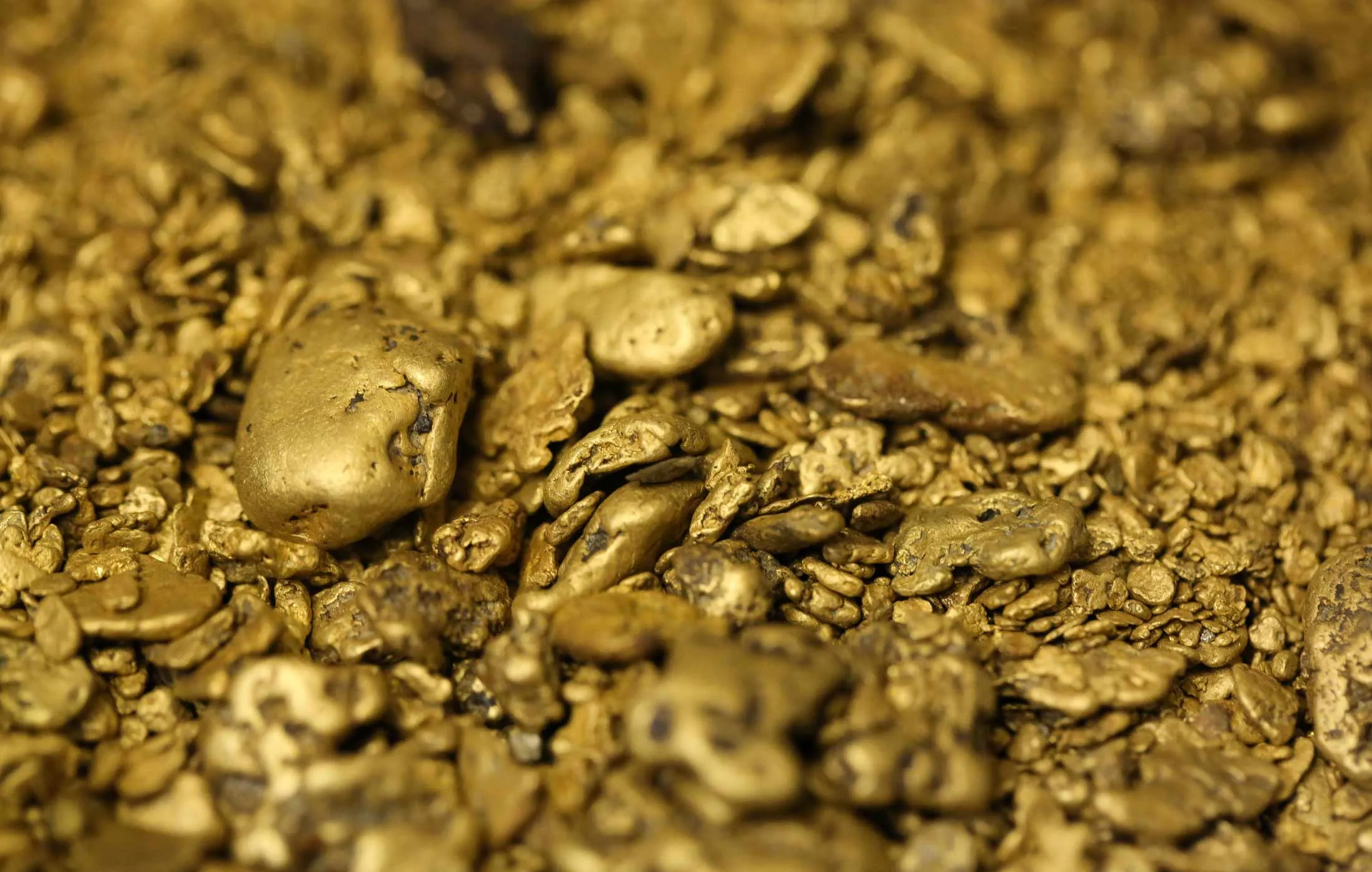 Gold nuggets.
