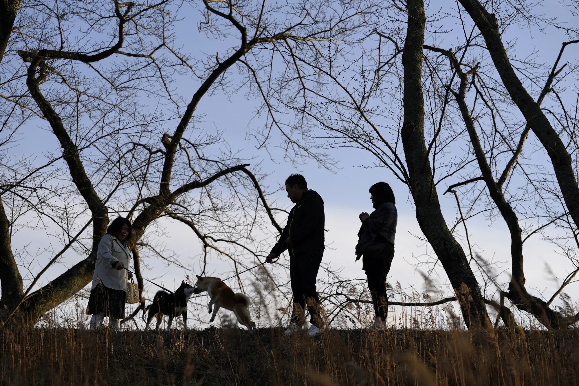 Namie residents walk their dog by the Ukedo river in Namie, Japan. Fukushima is still struggling to recover.