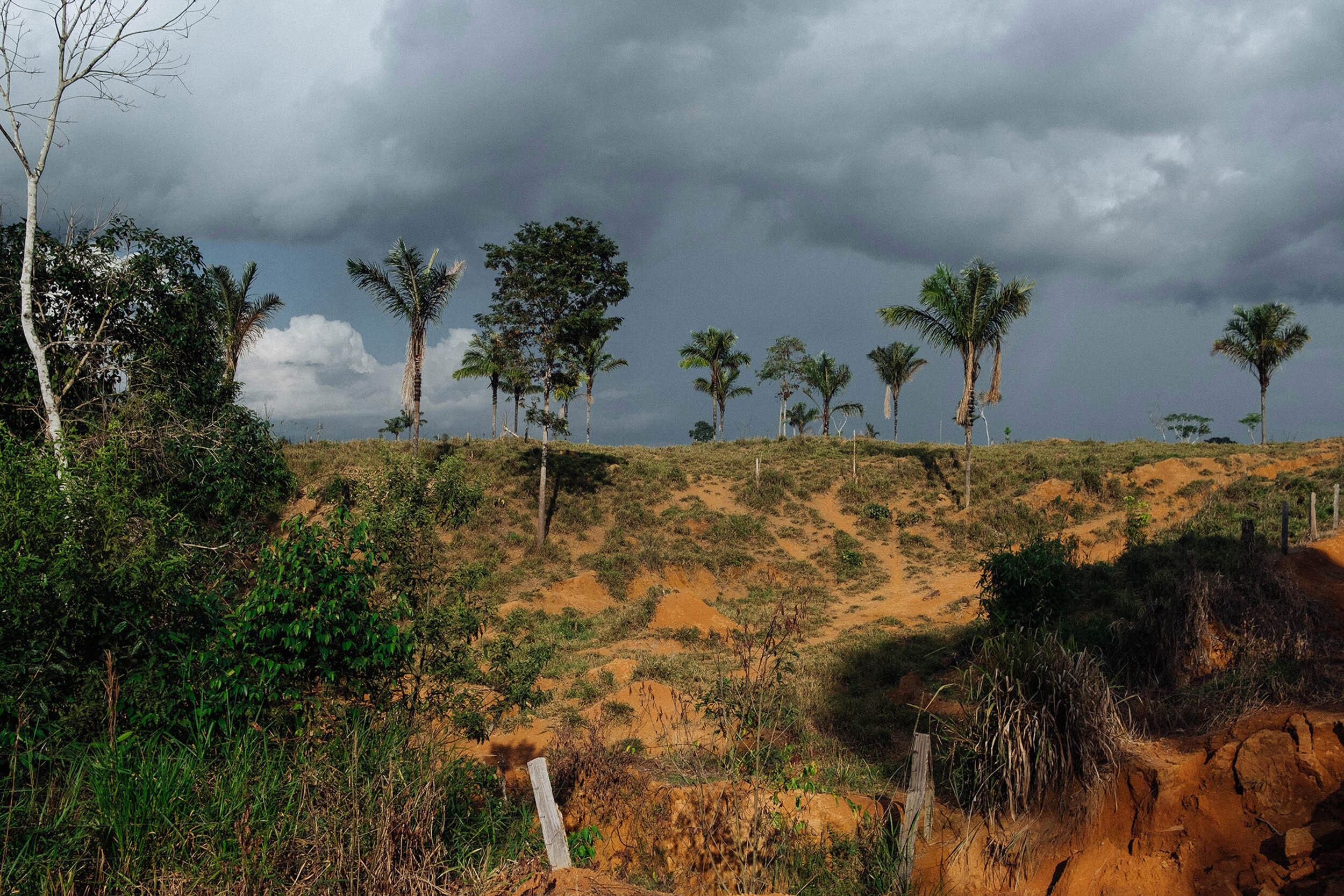 The EU's deforestation law was cheered here. Brazilian experts and