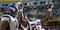 Fantasy Adrian Peterson