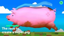 current playlist thumbnail