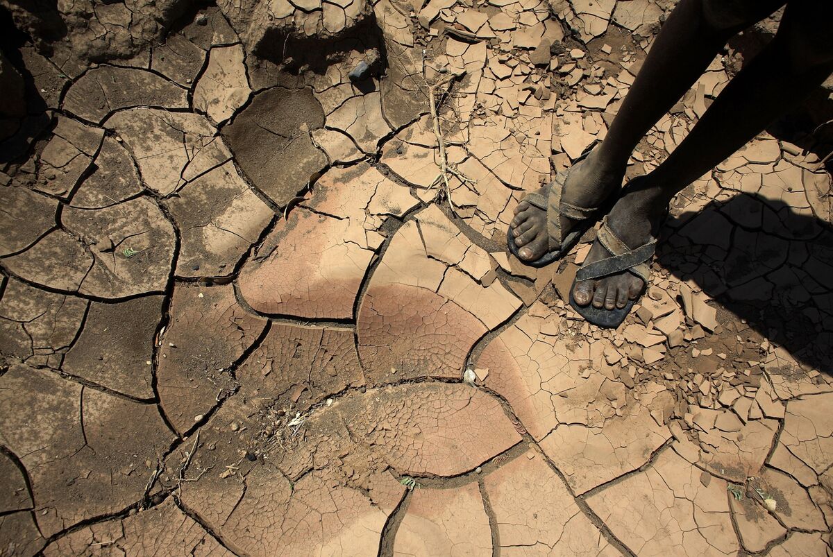 Africa Needs More Than $100 Billion a Year for Climate Adaptation, Study Shows