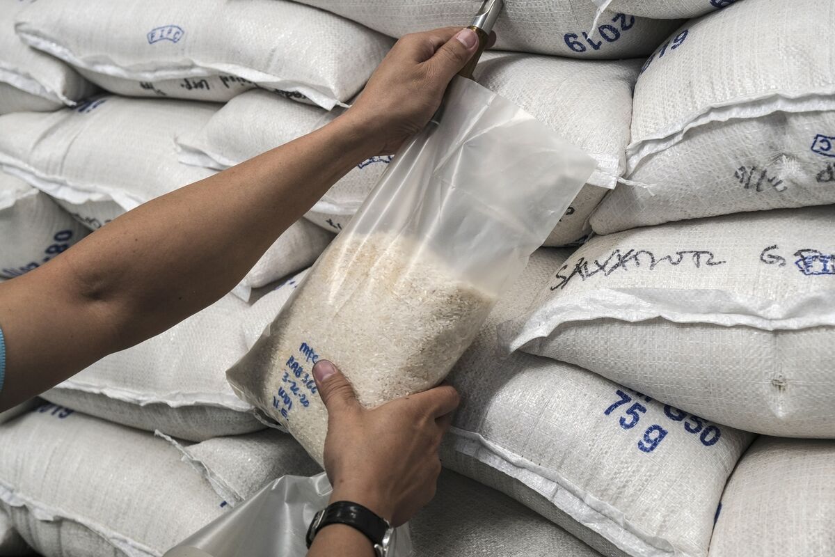 Spoiling Rice in Vietnam Show Perils of Food Protectionism Bloomberg