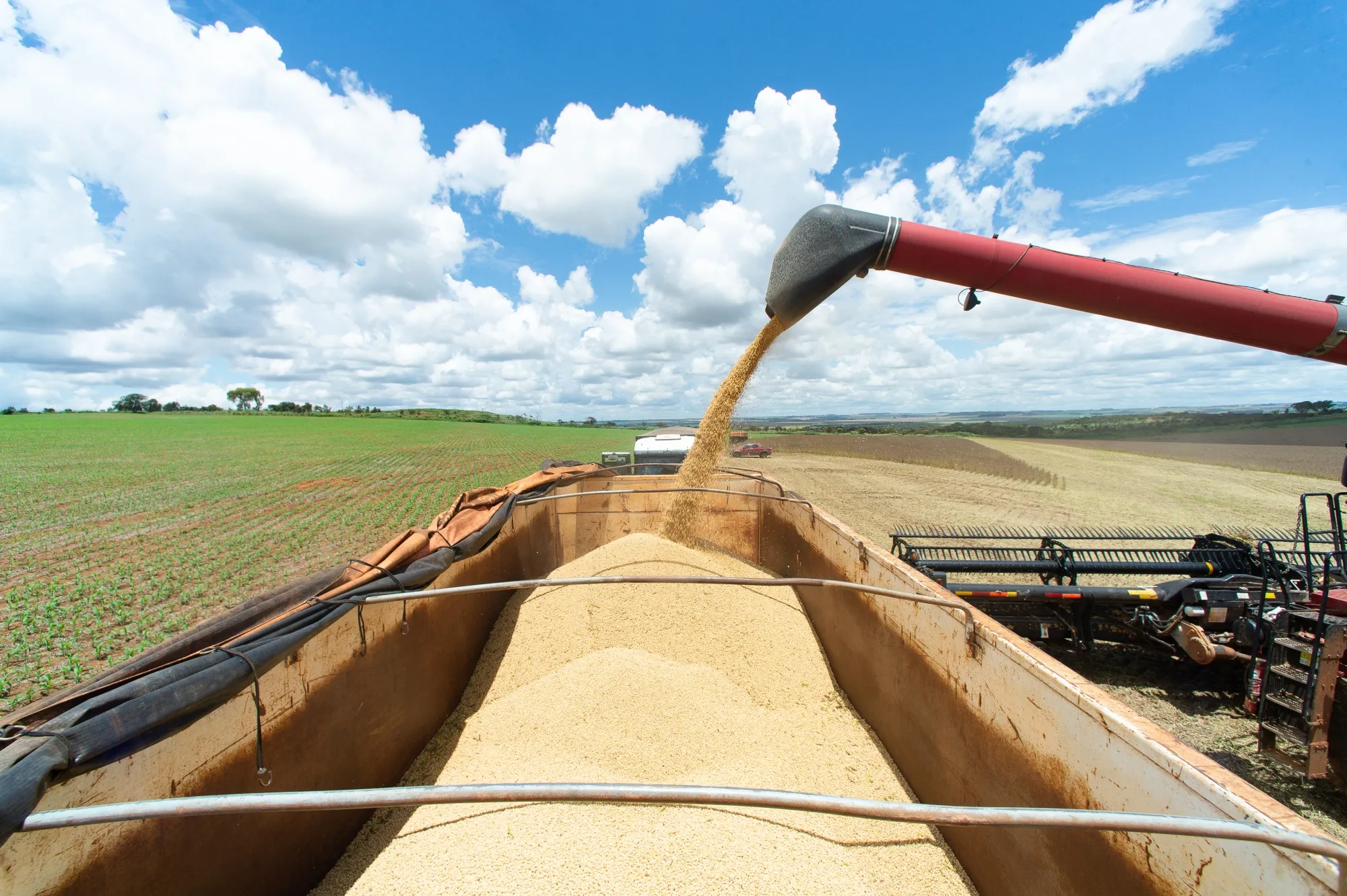 Soybeans harvested on a farm near Brasilia.