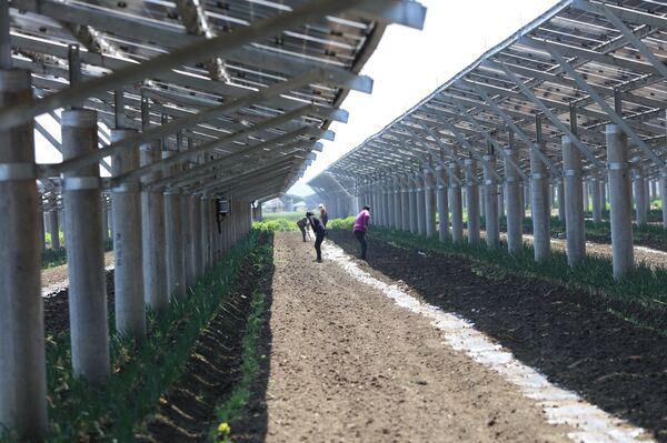 Agrivoltaic Farm In Lianyungang