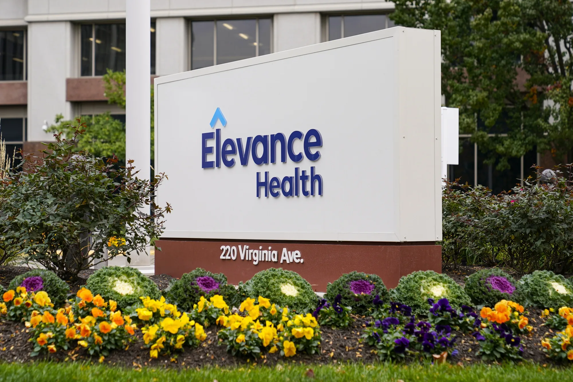 Elevance saw increasing costs in its Medicaid plans.
