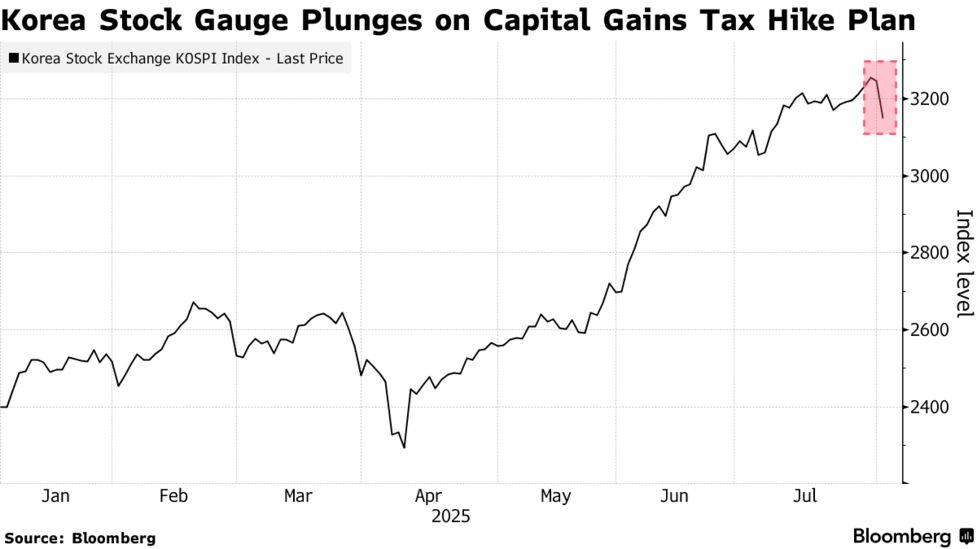 ➅ 金運UP イワヒバ 首長最上株物 超多株20多幹30