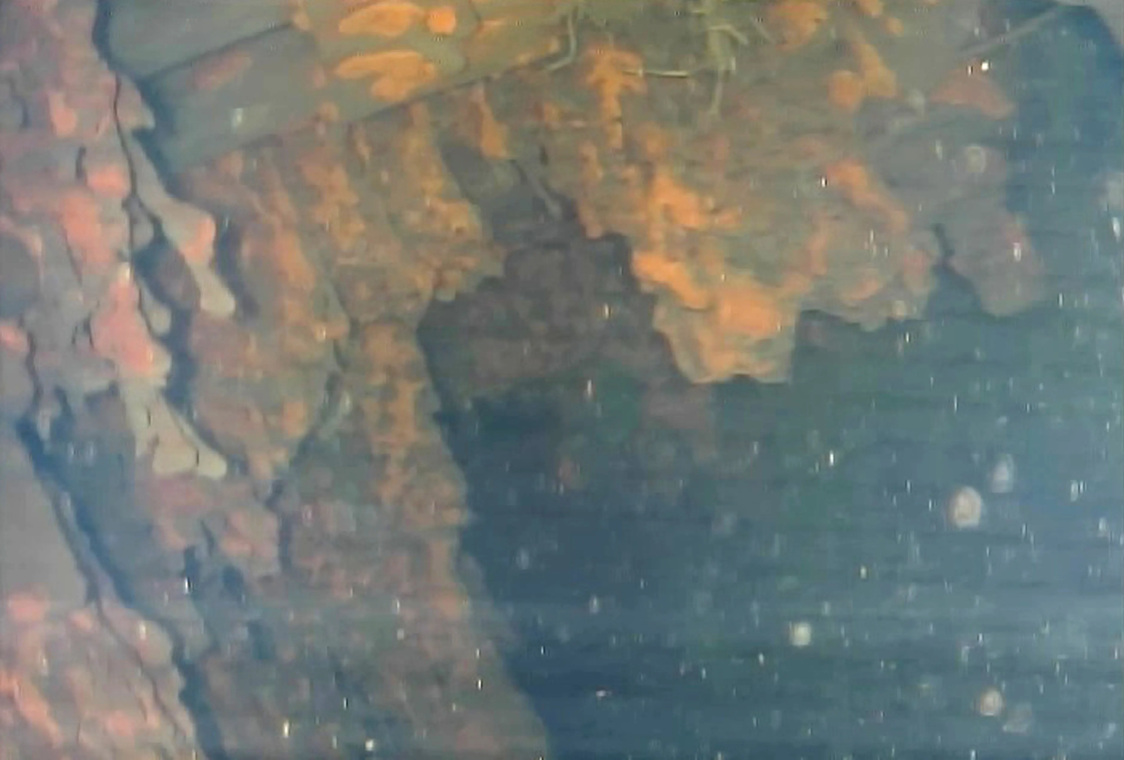 Branch-like material, top left, likely to be nuclear fuel debris is shown in this photo taken July 21, 2017, at the No. 3 reactor of the crippled Fukushima Daiichi nuclear complex.
