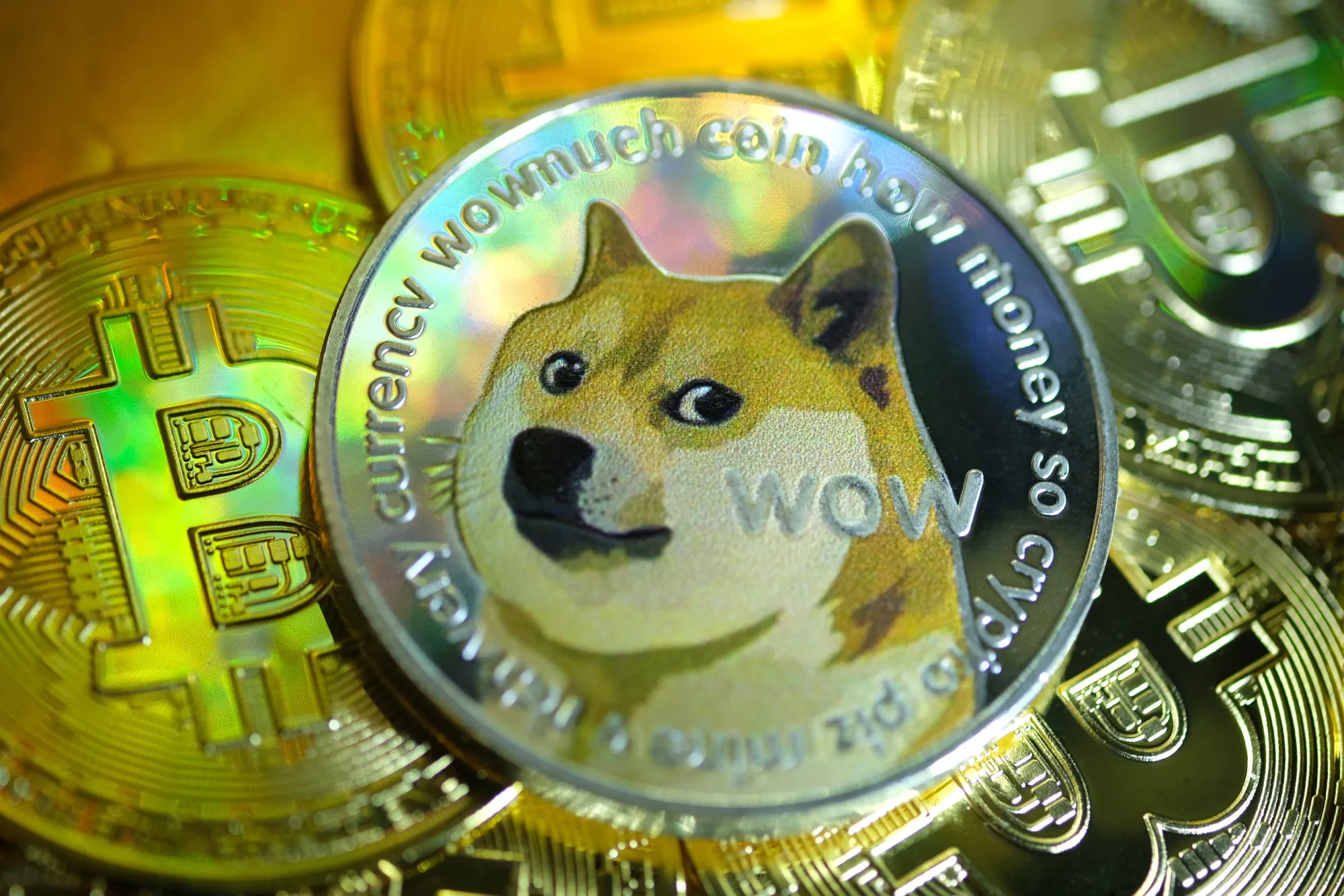 Dogecoin ($DOGE) Cryptocurrency Price Rises; Bitcoin (BTC USD) Stalls  #DogeDay - Bloomberg