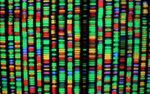 A digital visualization of sections of the human genome sequence.
