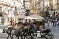 Horse & carriage on Graben Street, Vienna, Austria