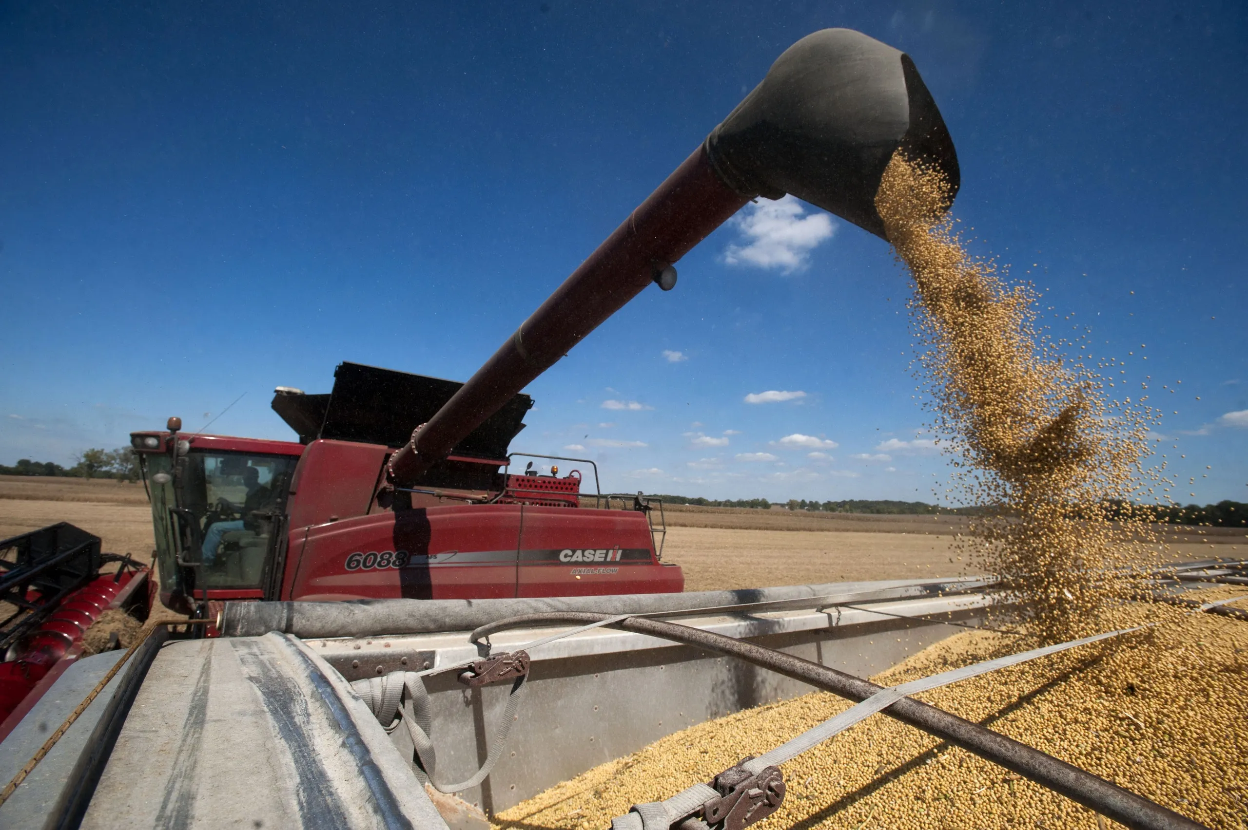 Soybeans Rally From One-Month Low As U.S. Shipments Increase