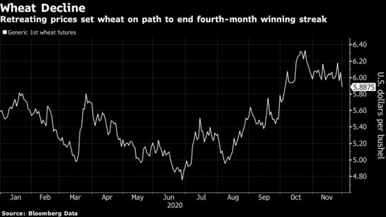 Wheat Falls as Russia Eases Limits, Australia Sees Bumper Crop