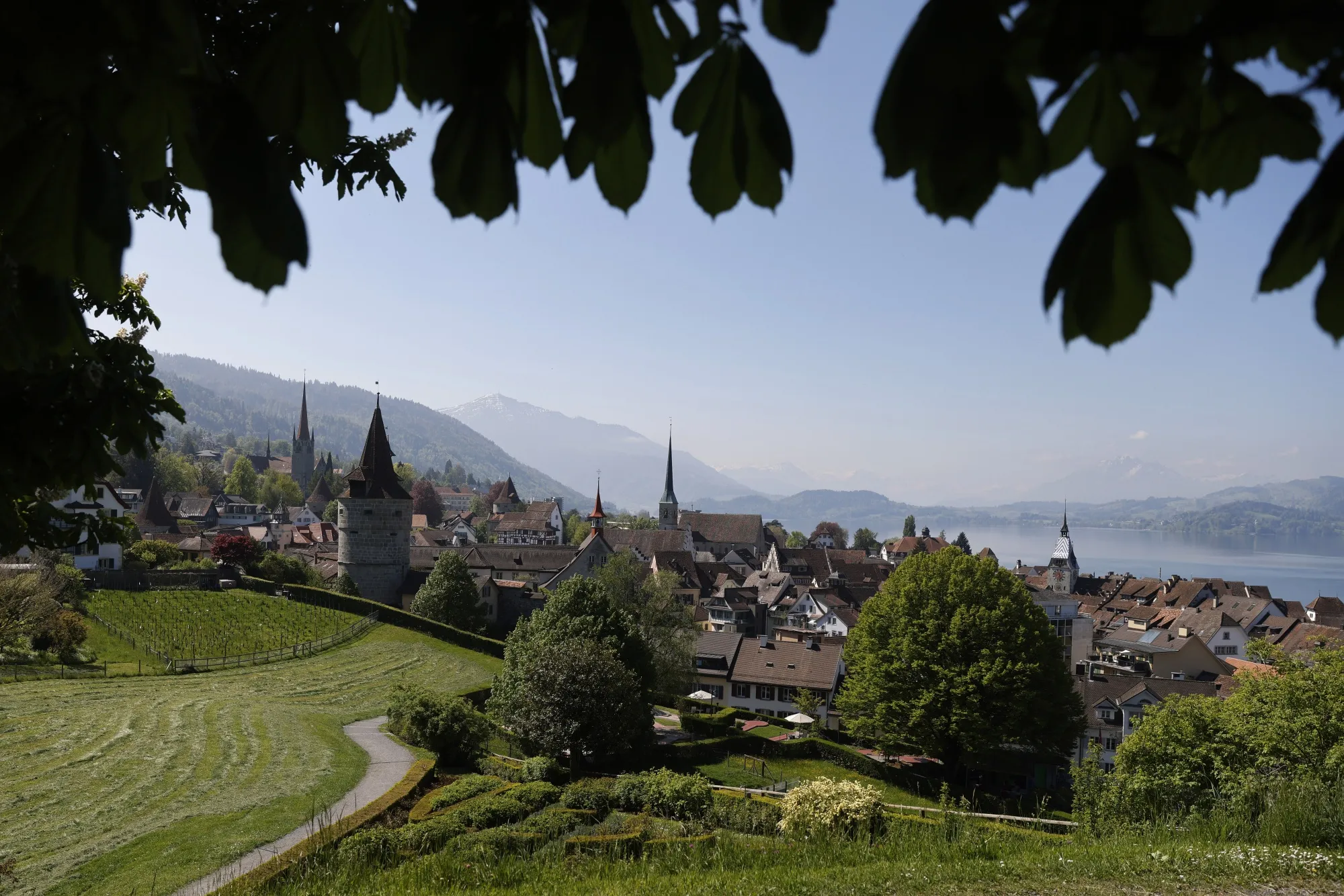 Arnova Capital is based in Zug, Switzerland.