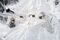 TOPSHOT-SWITZERLAND-FRANCE-ITALY-SNOW-TOURISM
