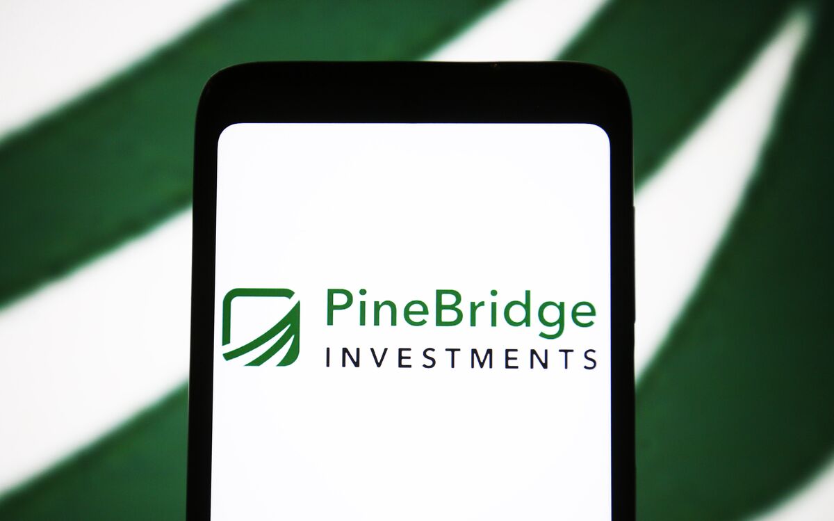 
                            Pinebridge Sees Emerging-Markets Rally Tilting Toward Bonds