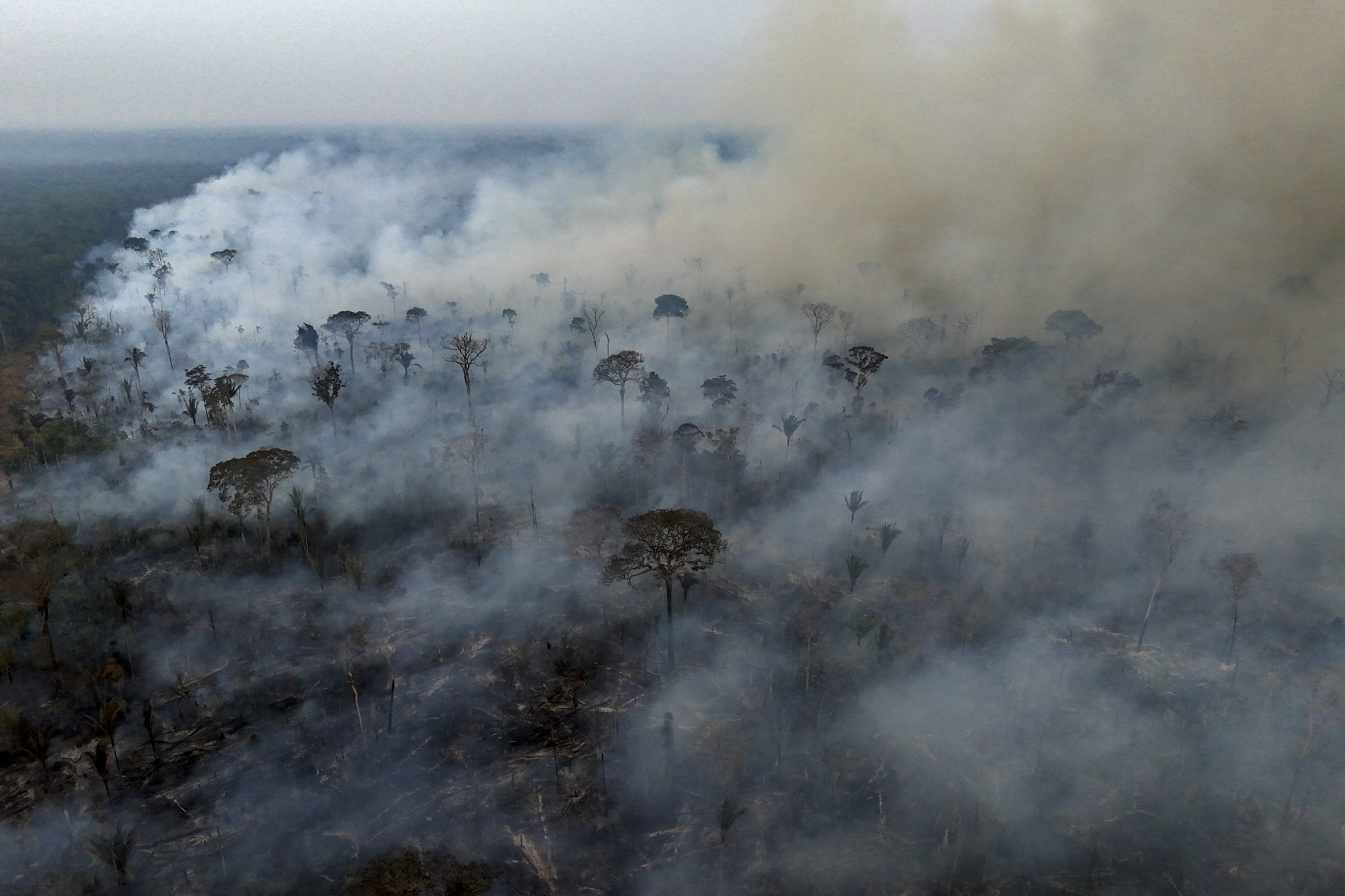An illegal fire in the Amazon rainforest on the banks of the BR-230 (Transamazon Highway), near the city of Labrea, Amazonas state, northern Brazil, taken on September 4, 2024. Photographer: Michael Dantas/AFP/Getty Images