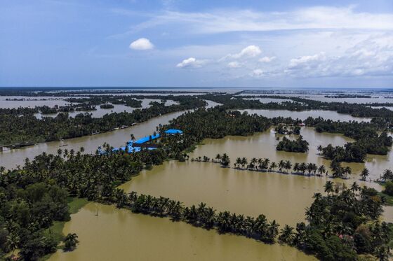 India's Coffee Output Seen Plunging to Two-Decade Low on Floods