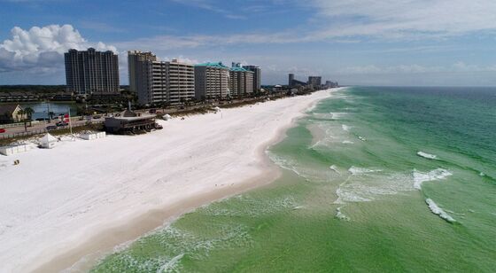 A Stretch of Pristine Land in Florida Is Finally Booming During Covid