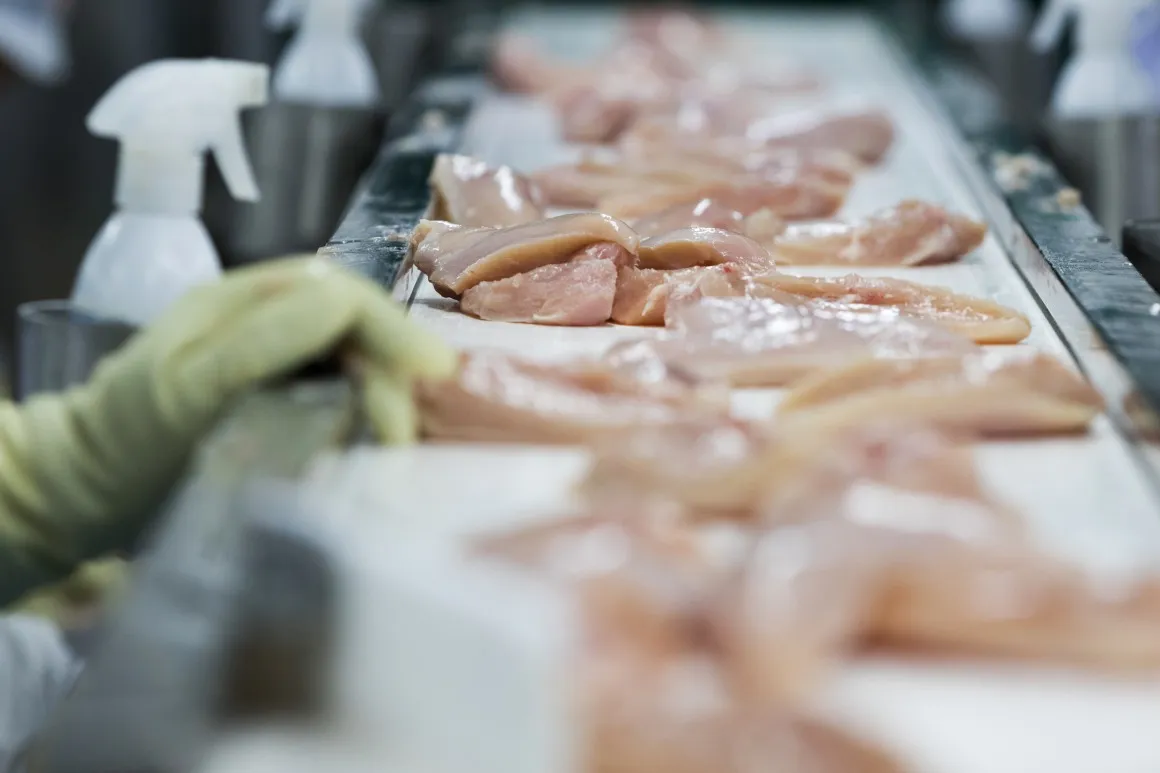 Inside A Harim Co. Chicken Processing Facility