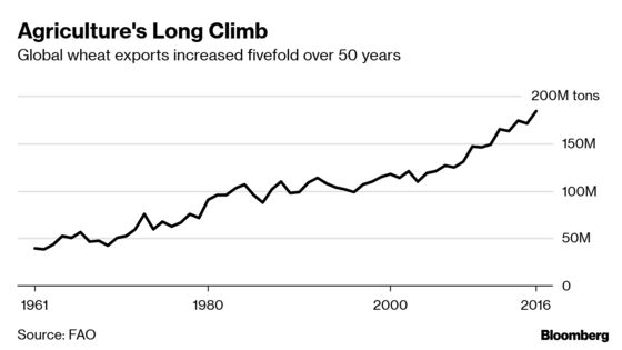 Warming World Will Need to Farm a Whole New Egypt to Feed Itself