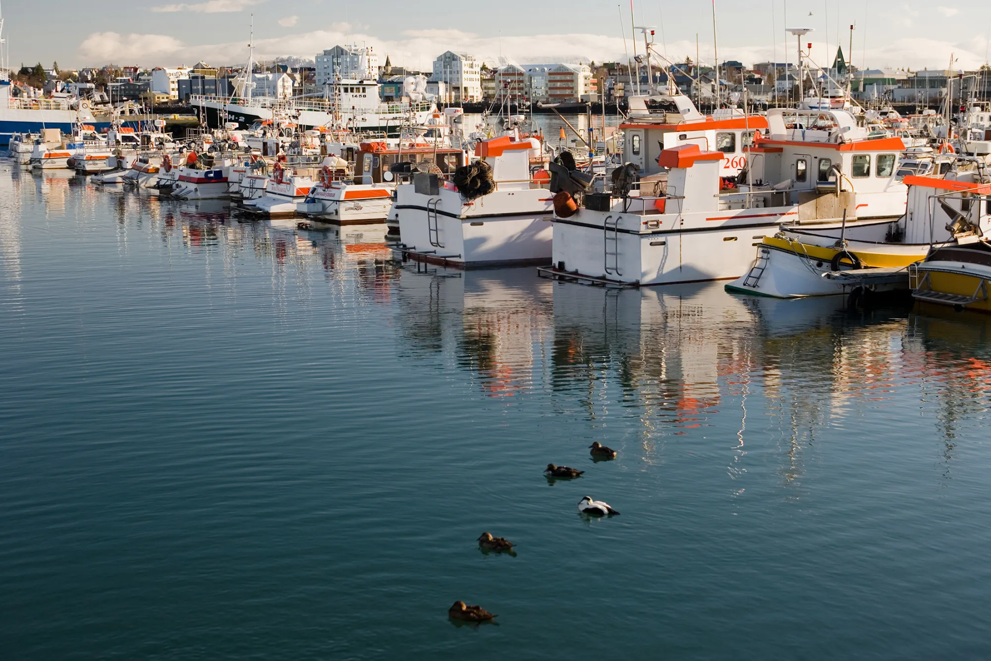 1489059847_ICELAND_FISHING