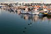 1489059847_ICELAND_FISHING