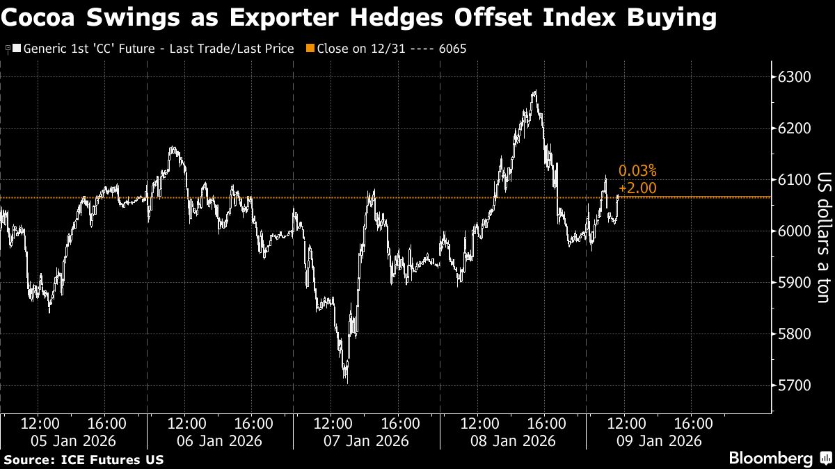 Cocoa Prices Swing as Exporter Hedges Offset Index Buying
