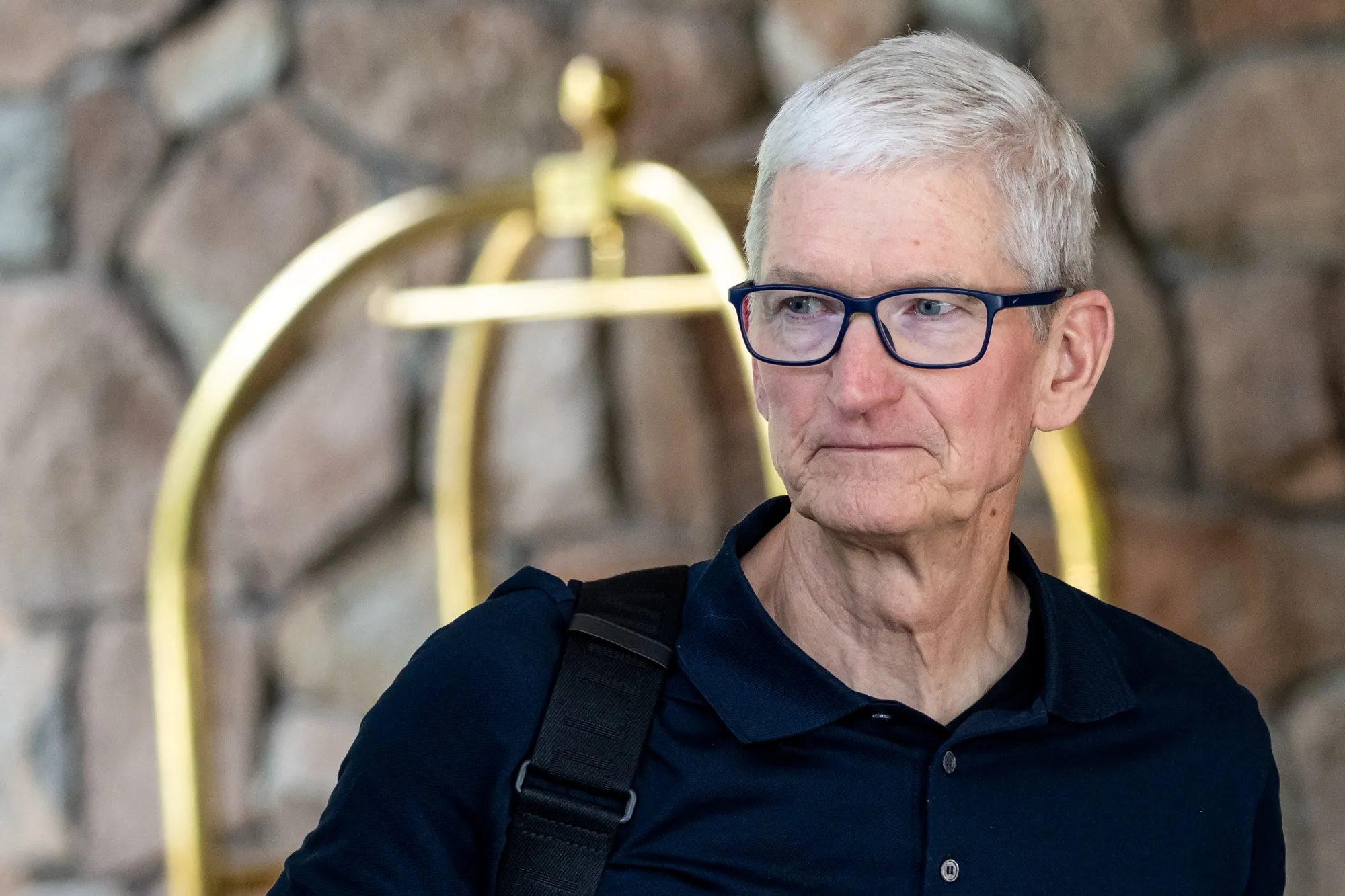 Apple (AAPL) Should Consider Replacing Tim Cook as CEO, LightShed Says -  Bloomberg