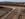 US Continues Embargo On Mexican Cattle Imports Over Screwworm