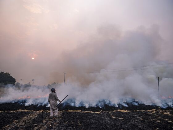 India’s Clean Air Days May Be Numbered as Farmers Clear Fields
