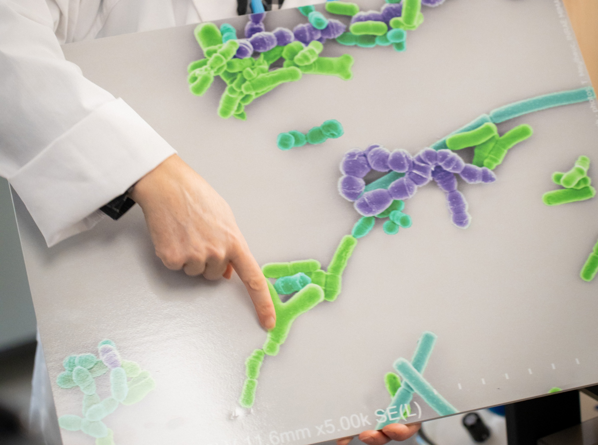 Danone lanza un nuevo suplemento probiótico de base científica
