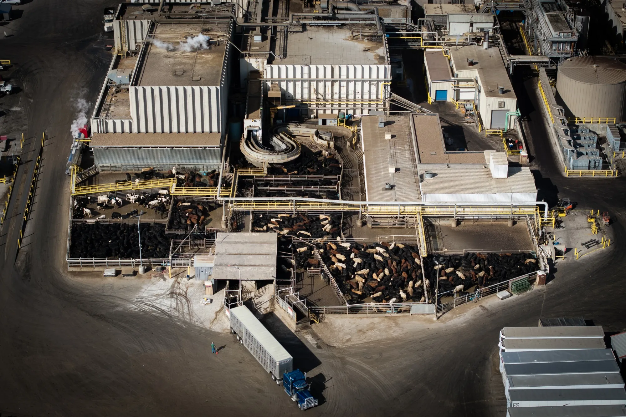 Cattle trucks offload livestock at a JBS Greeley meatpacking facility in Greeley, Colorado, in February.