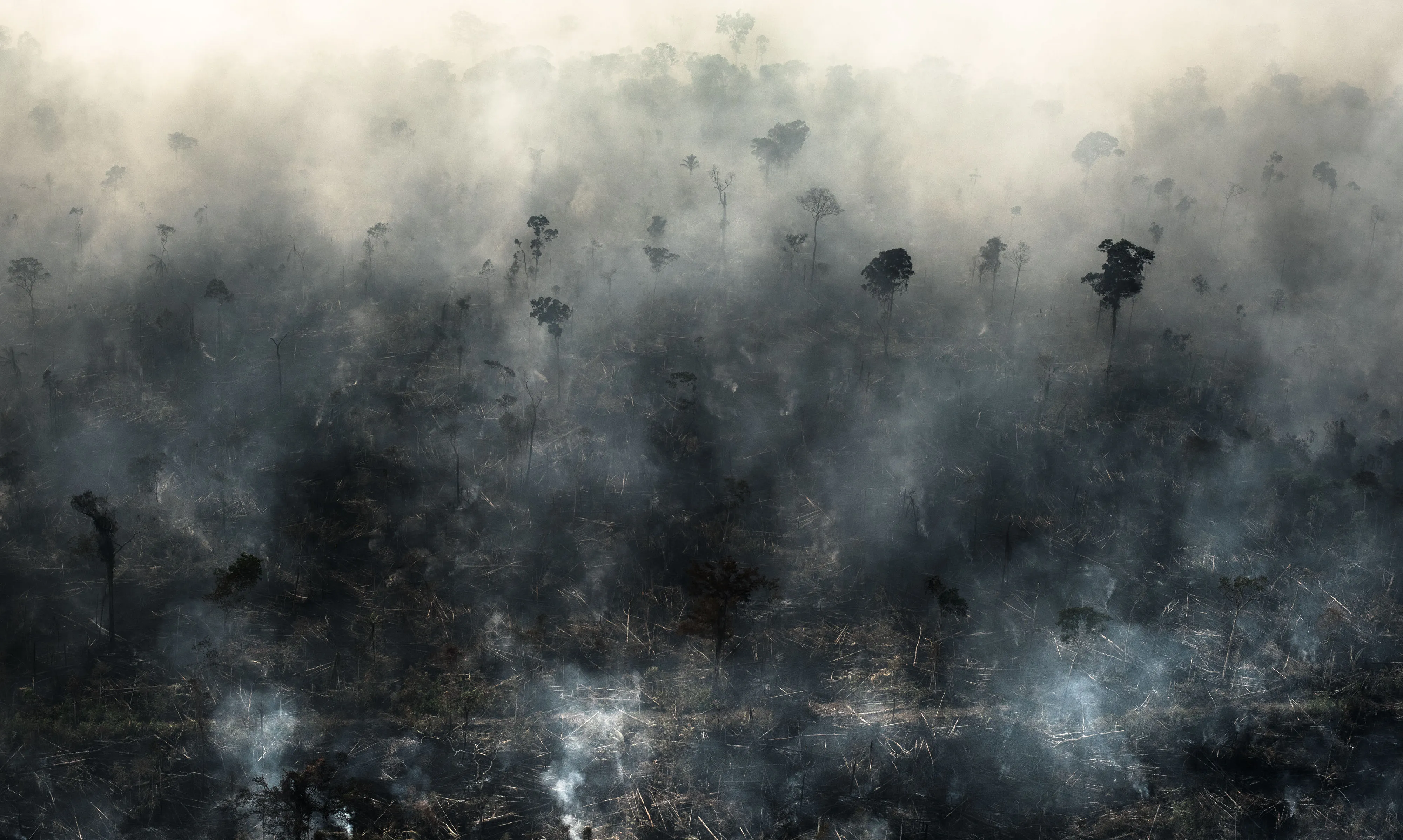 Fire burns in the Amazon rainforest in&nbsp;Rondonia state, Brazil, in 2019.