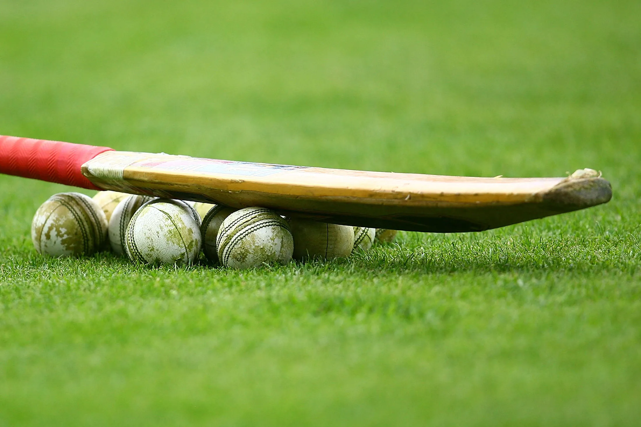 XXXX of the White Ferns/Australia bats/bowls/celebrates during the fourth Twenty20 match between the New Zealand and Australia at Queens Park on February 19, 2011 in Invercargill, New Zealand.
