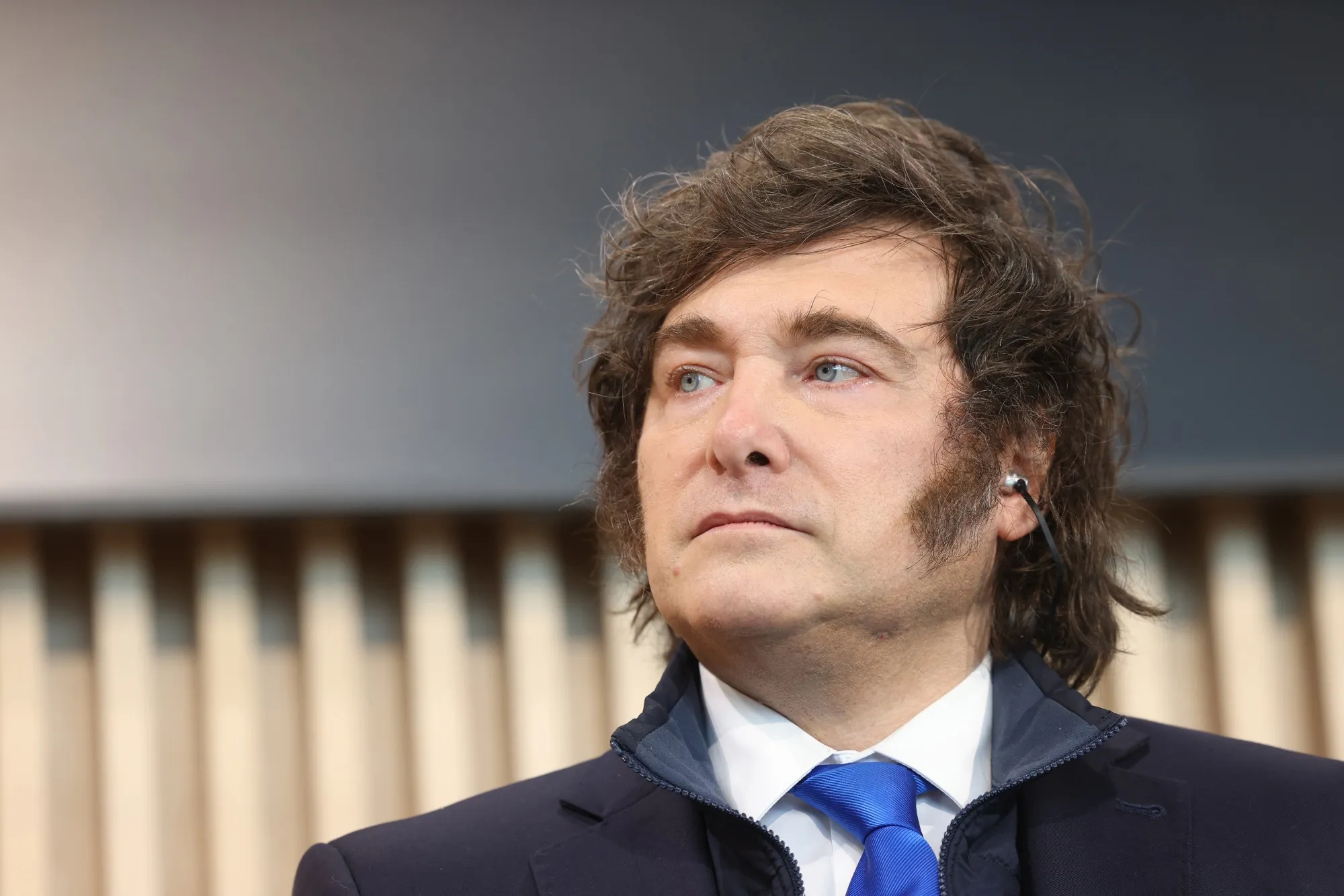 Argentinian&nbsp;President&nbsp;Javier Milei